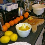 Marmalade-2013 Prep
